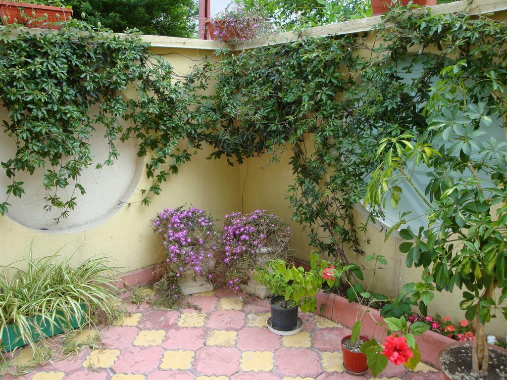 Stela Guest House Tsarevo Room photo